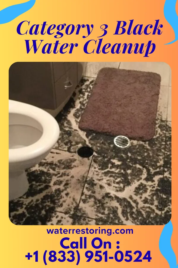 Category 3 Black Water Cleanup in Litchfield, MI