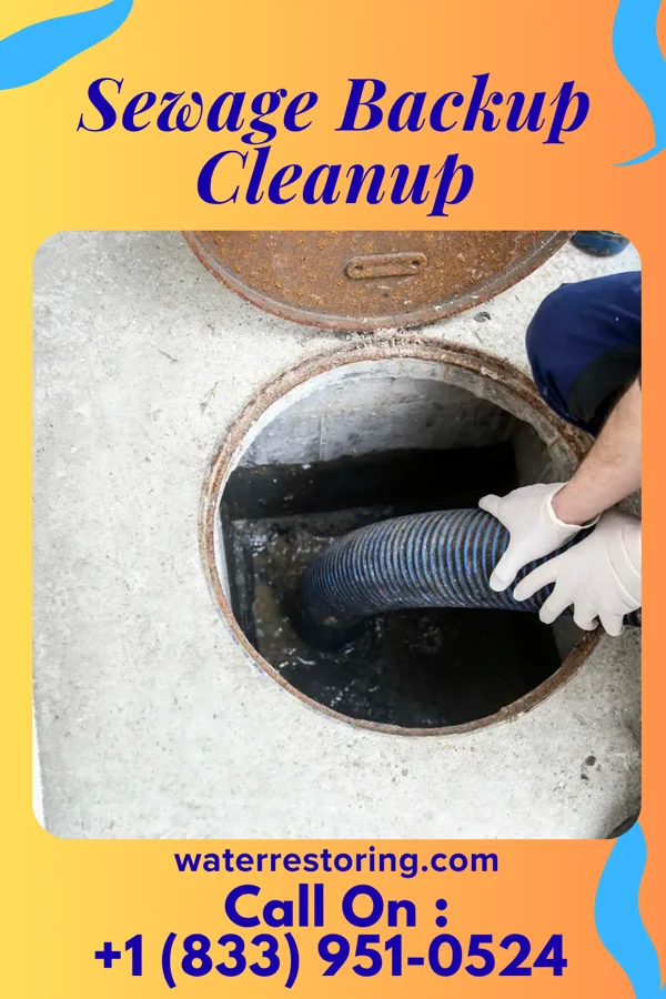 Sewage Backup Cleanup in Litchfield, MI
