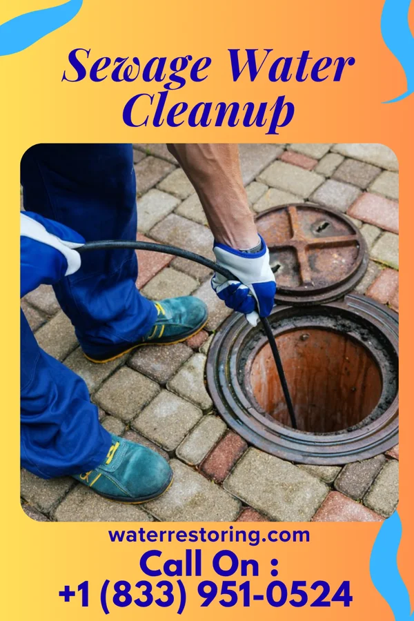 Sewage Water Cleanup in Litchfield, MI