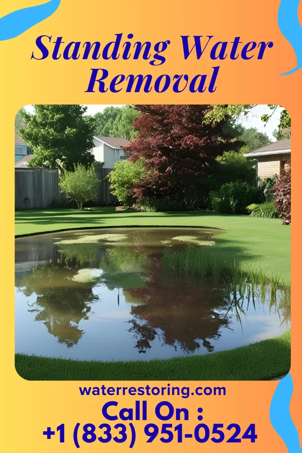 Standing Water Removal in Litchfield, MI